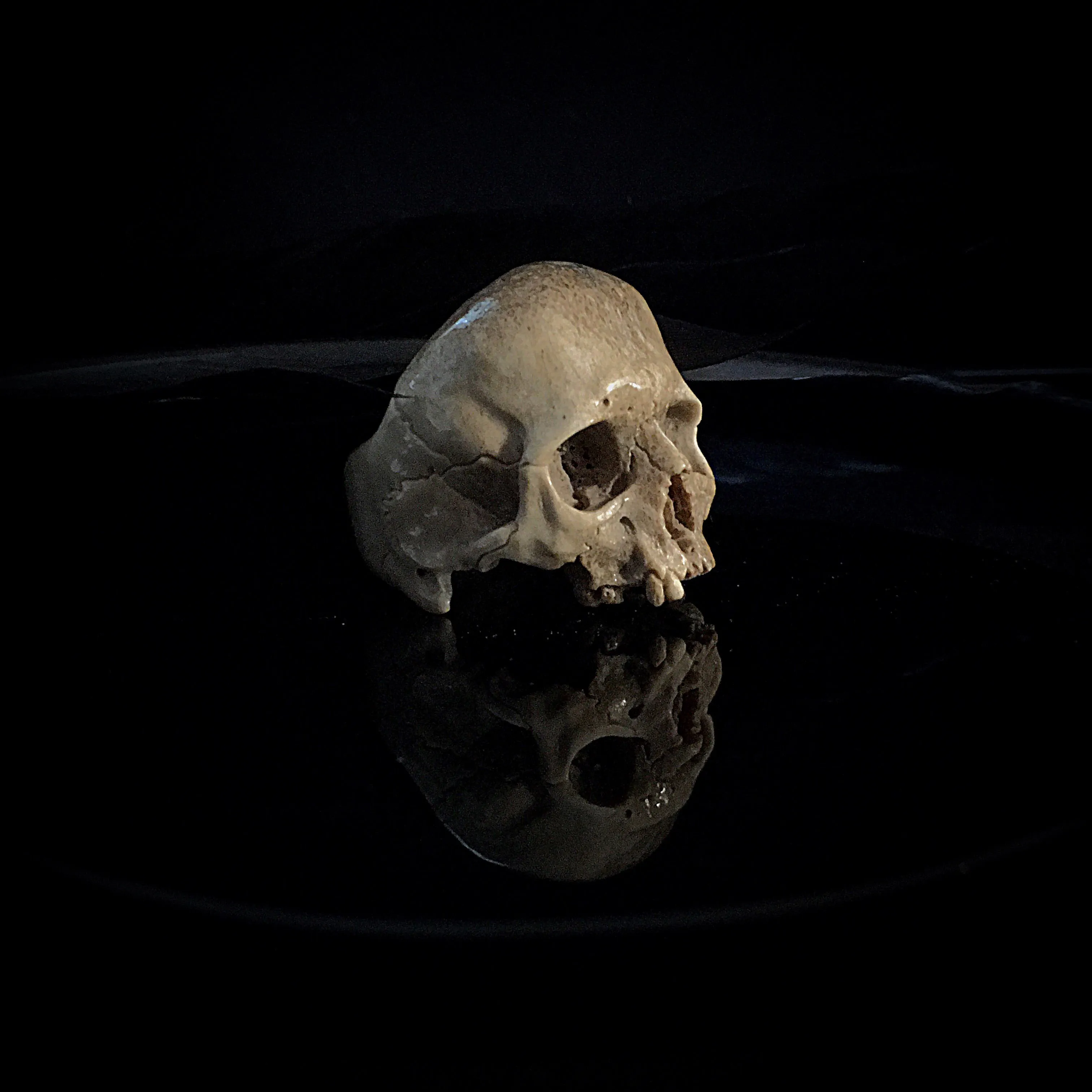 Dark Decay Skull Ring